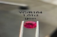YC/R164