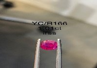 YC/R166