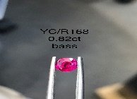 YC/R168