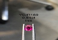 YC/R169