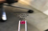 YC/R172