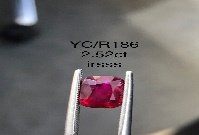 YC/R186