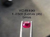 YC/R190