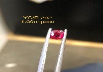 YC/R202