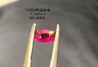 YC/R204