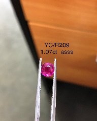 YC/R 209