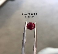 YC/R 214