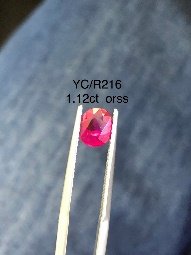 YC/R 216