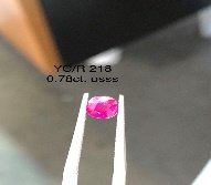 YC/R 218