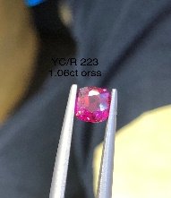 YC/R 223