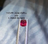YC/R 224