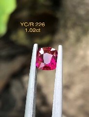 YC/R 226