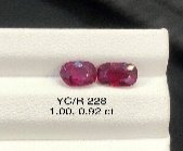 YC/R 228