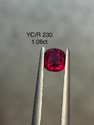 YC/R 230