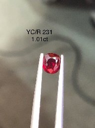 YC/R 231