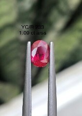 YC/R 233