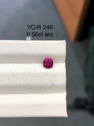YC/R 246