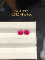 YC/R 247
