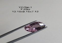 YC/SP1