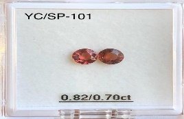 YC/SP101