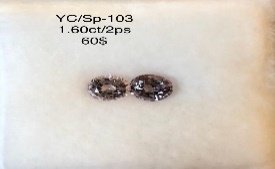 YC/SP103