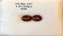 YC/SP107