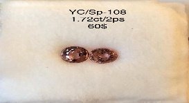 YC/SP108