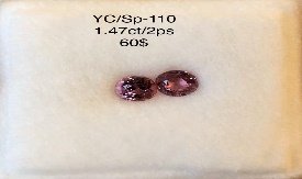 YC/SP110