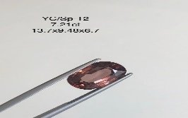YC/SP12