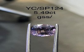 YC/SP124