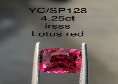 YC/SP128