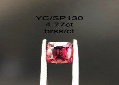 YC/SP130