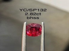 YC/SP132