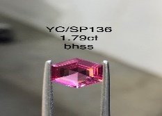 YC/SP136