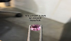 YC/SP138