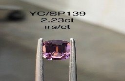 YC/SP139