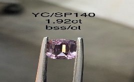 YC/SP140