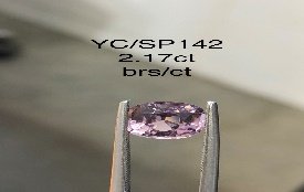 YC/SP142