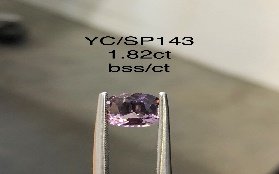 YC/SP143