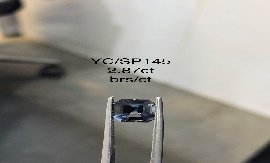 YC/SP145