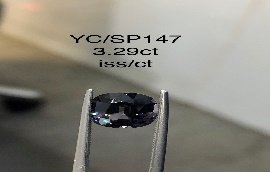 YC/SP147