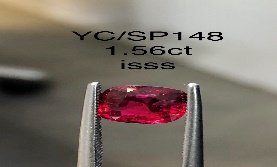 YC/SP148