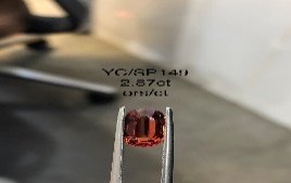YC/SP149