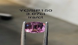 YC/SP150