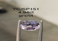 YC/SP151