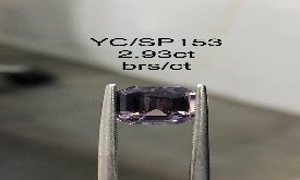 YC/SP153