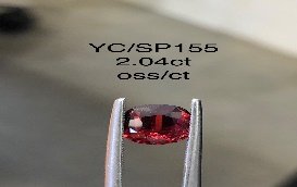YC/SP155