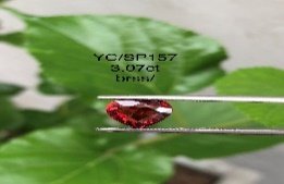 YC/SP157
