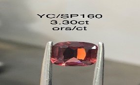YC/SP160