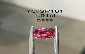 YC/SP161
